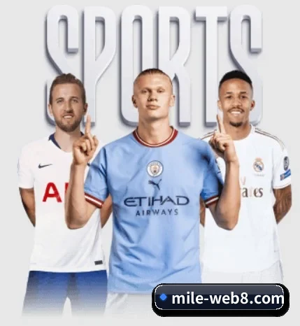 了解平台 - 体育资讯内容服务